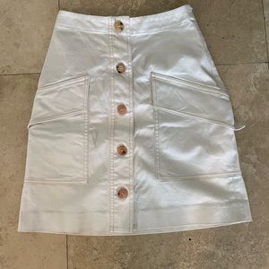 Acne Studios Canvas Skirt 34